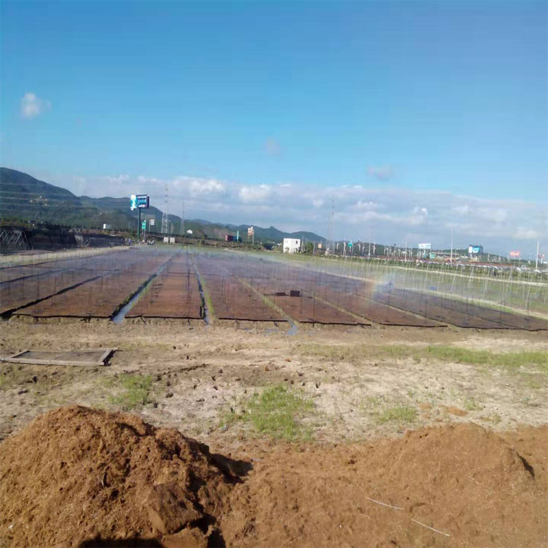 海南农业灌溉工程